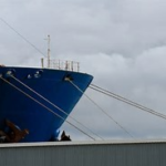 Somali and Ethiopian officials discussing port access and regional trade cooperation.Somali and Ethiopian officials discussing port access and regional trade cooperation.