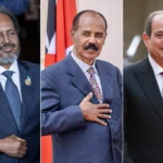 Leaders from Somalia, Eritrea, and Egypt discuss strategic security cooperation.