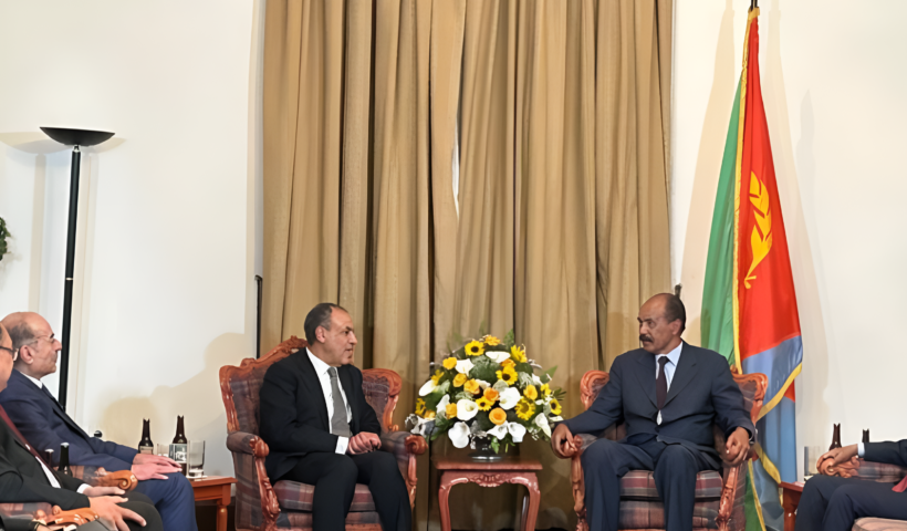 Egyptian FM meets Eritrean President to discuss bilateral relations and cooperation.