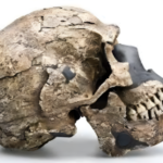 Oldest Homo sapiens fossil discovery changes evolution timeline.