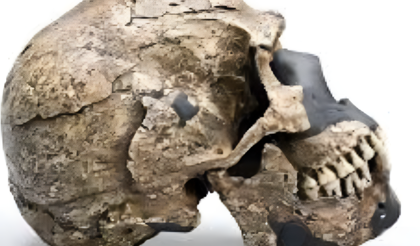 Oldest Homo sapiens fossil discovery changes evolution timeline.