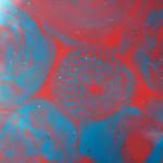 Exhibition of traditional Malagasy costumes and artifacts promoting heritage conservation in Madagascar.