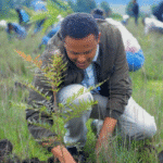 Ethiopian citizens planting trees as part of the Green Legacy reforestation campaign in 2025.