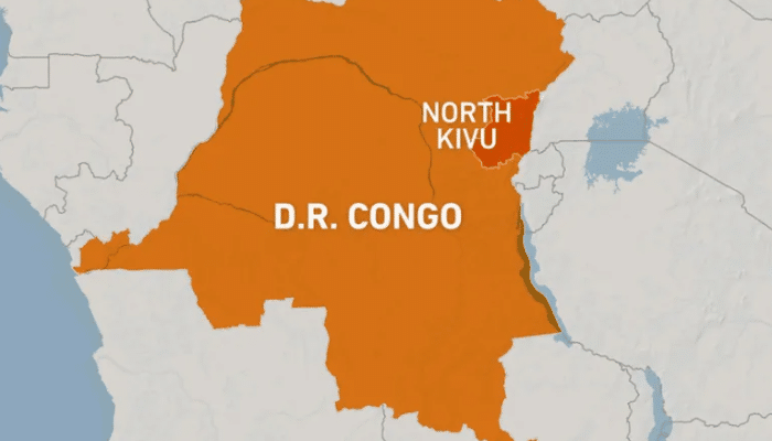 MONUSCO peacekeepers in DR Congo after ADF rebel attacks in North Kivu.
