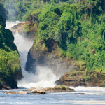 East African Crude Oil Pipeline construction cutting through protected savannah near Murchison Falls, Uganda.