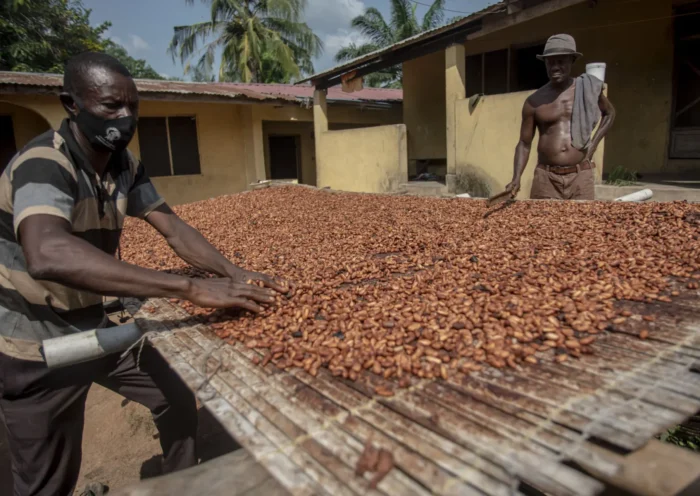African headlines on climate disasters, food insecurity, trade shocks, and political developments on Feb 12, 2026.