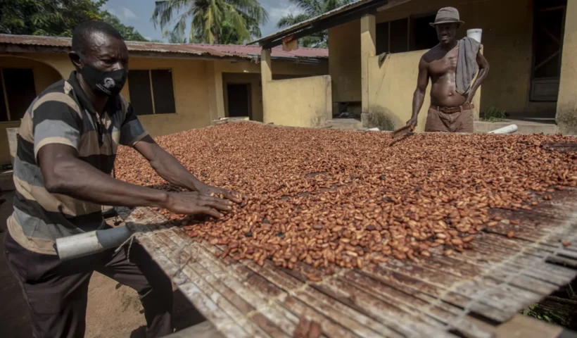 African headlines on climate disasters, food insecurity, trade shocks, and political developments on Feb 12, 2026.